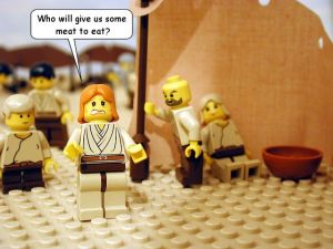 (image from the brick testament) thebricktestament.com